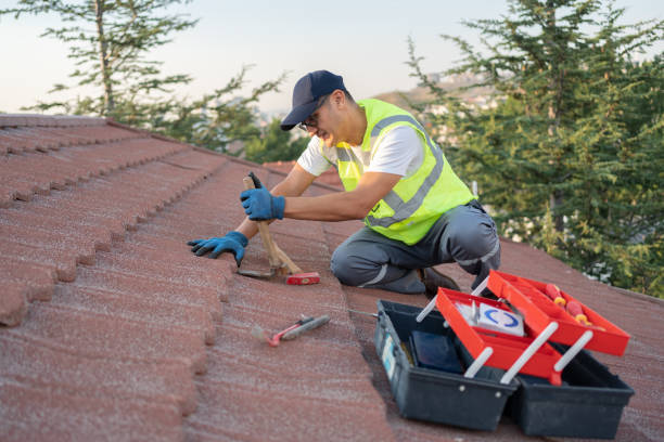 Best Storm Damage Roof Repair  in Dauphin Island, AL