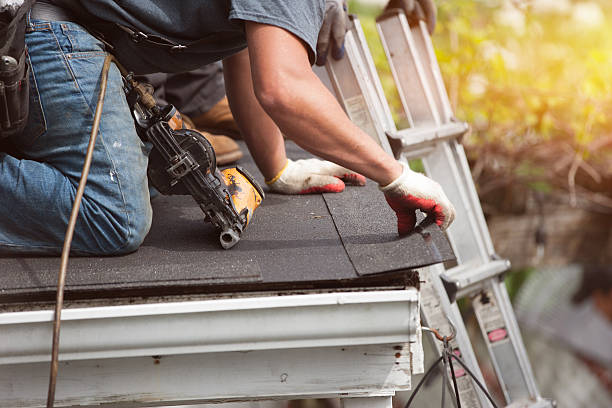 Best Roof Gutter Cleaning  in Dauphin Island, AL